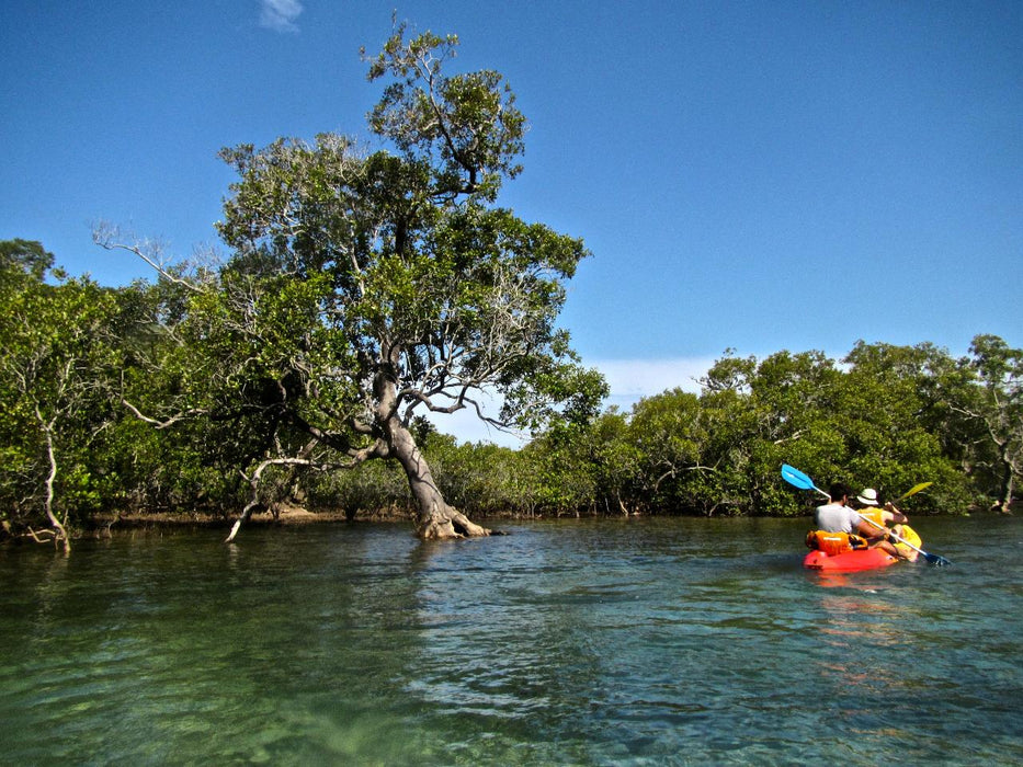 Double Kayak Rental In Brunswick River - We Wander