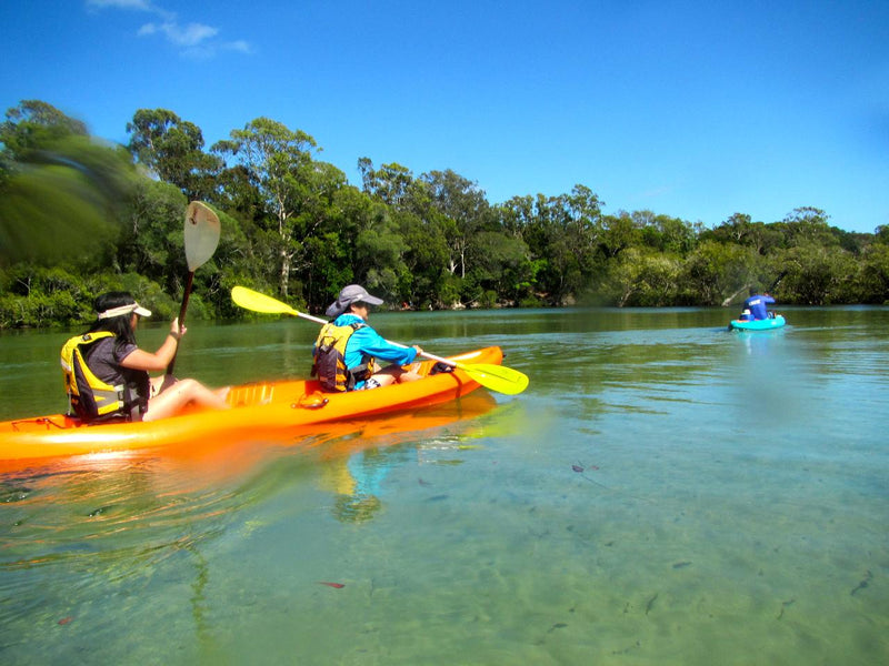 Double Kayak Rental In Brunswick River - We Wander