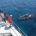 Dunsborough Whale Watching - We Wander