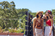 D'Vine Tour - Full Day Swan Valley Wine Tour - We Wander