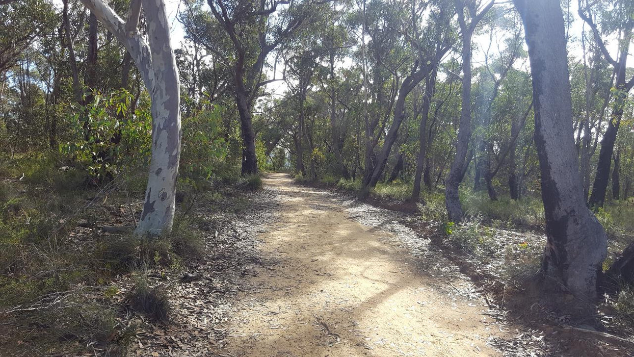 E - Bike (Electric) Guided Tour - Half Day - Hanging Rock - Blackheath - We Wander