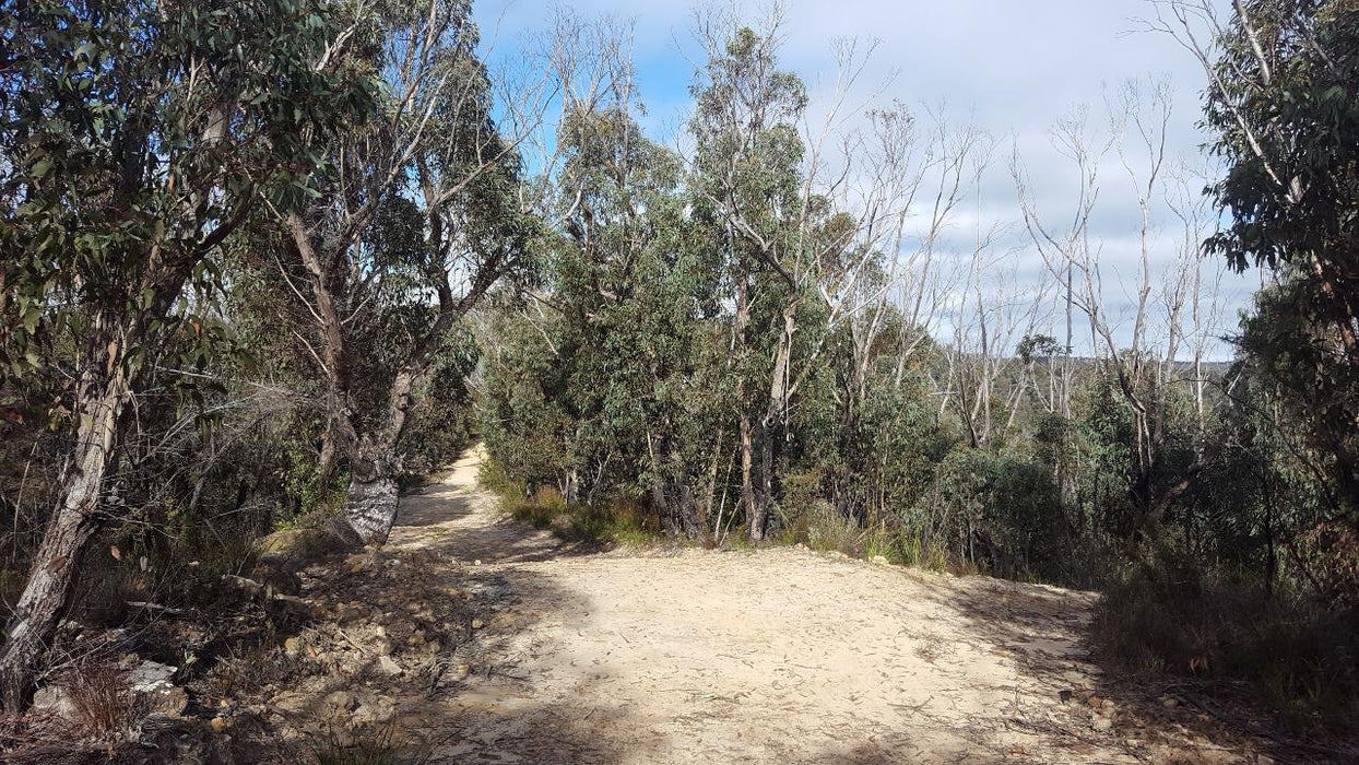 E - Bike (Electric) Guided Tour - Half Day - Hanging Rock - Blackheath - We Wander