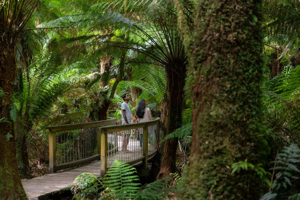 Autopia Tours: Great Ocean Road To Grampians 3 Day 