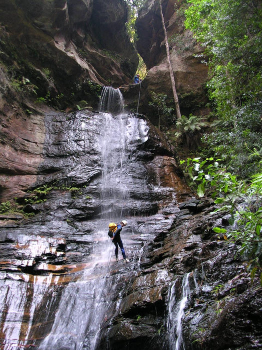 Empress Canyon Abseiling And Canyoning Adventure - Blue Mountains - We Wander