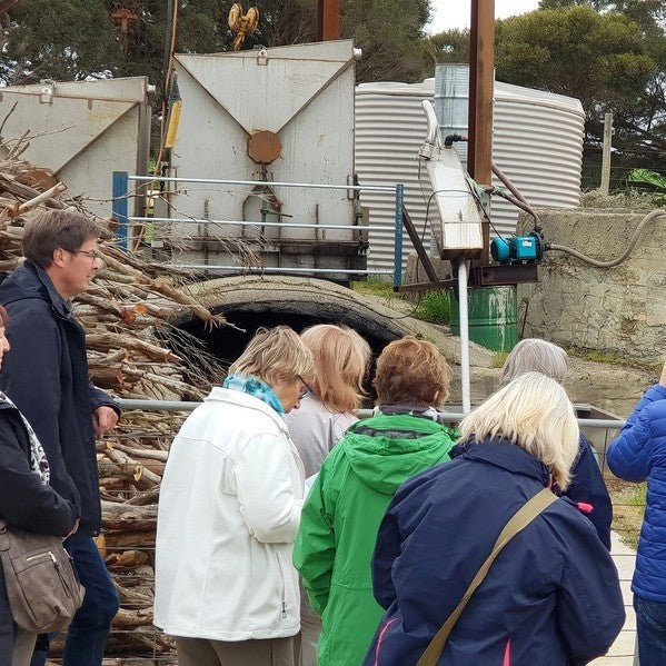 Emu Ridge Eucalyptus Experience - Tour & Breakfast - We Wander