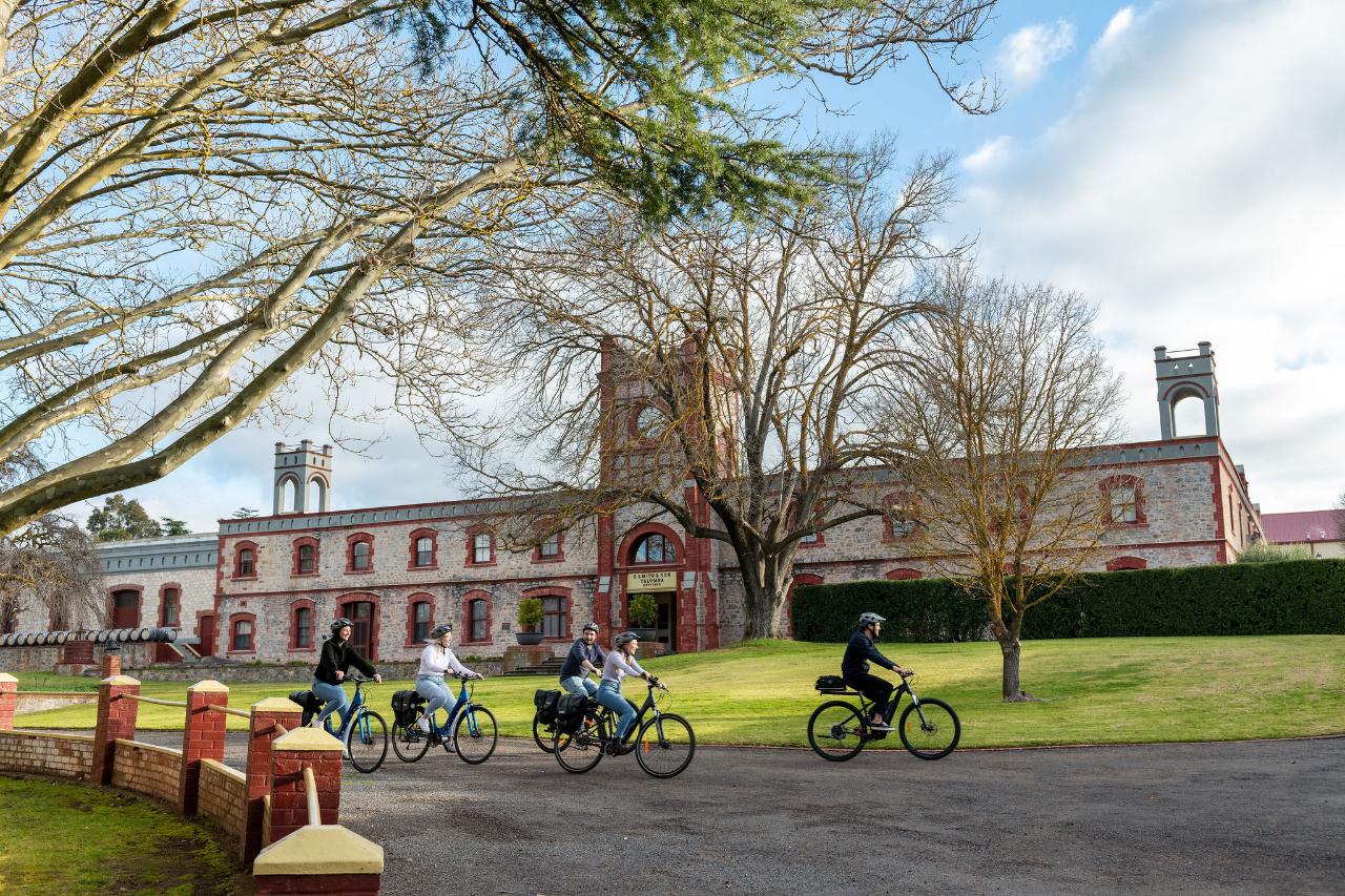 'Experience Barossa' Gourmet Food & Wine E - Bike Tour - We Wander