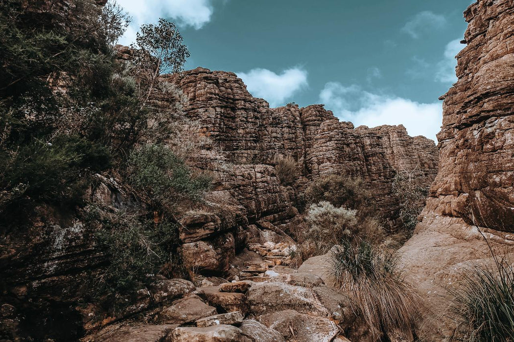 Experience The Grampians On A Full Day Tour - We Wander