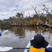 Explore Canning River Wetlands Kayak Tour - We Wander