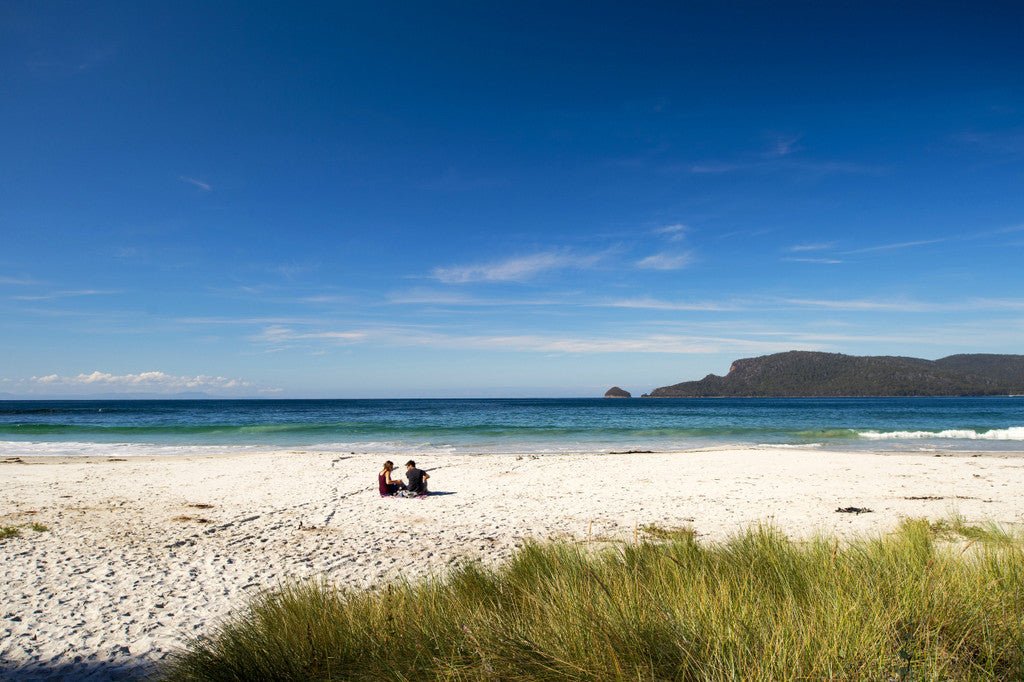 Family Bruny Island Discovery Tour - We Wander