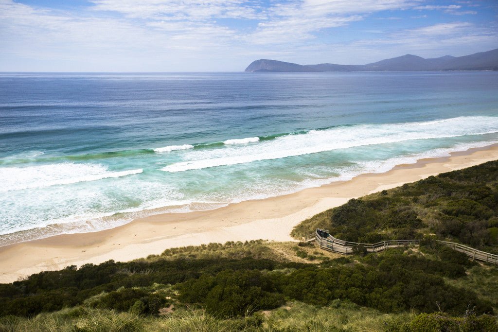 Family Bruny Island Discovery Tour - We Wander