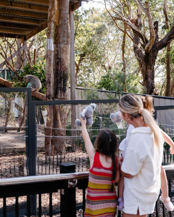 Family Pass At Port Stephens Koala Sanctuary - We Wander