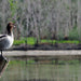 Fishermans Paradise Eco - Walk - Private Tour - We Wander