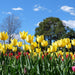 Floriade Tour - We Wander