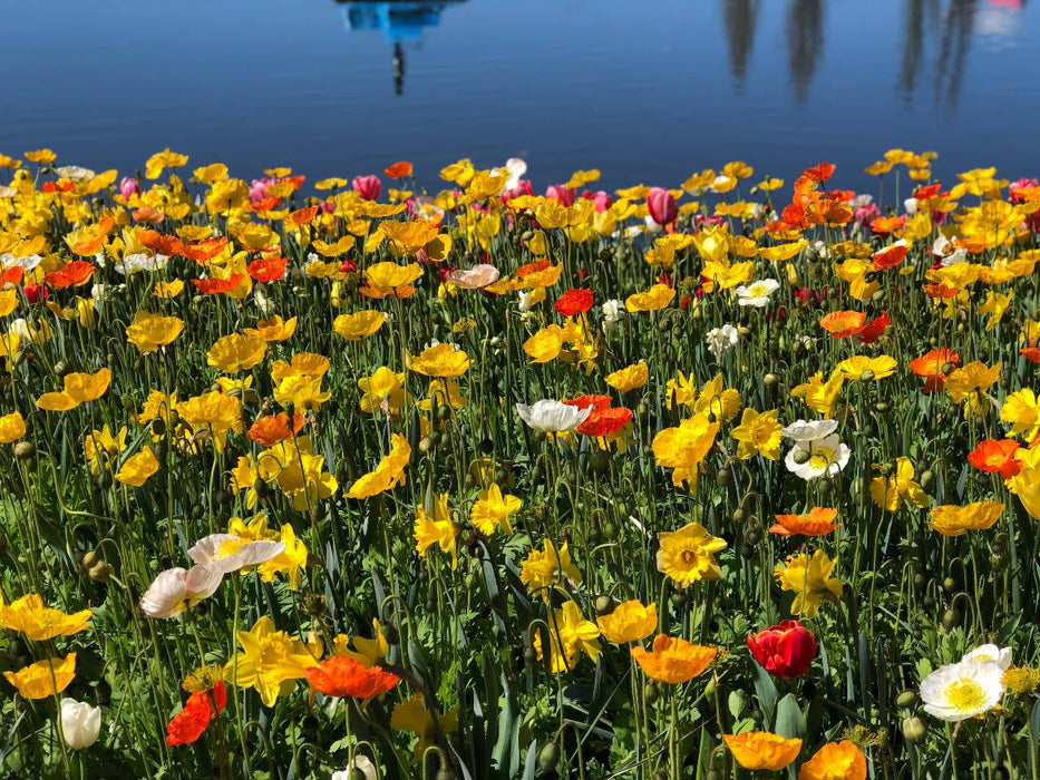 Floriade Tour - We Wander