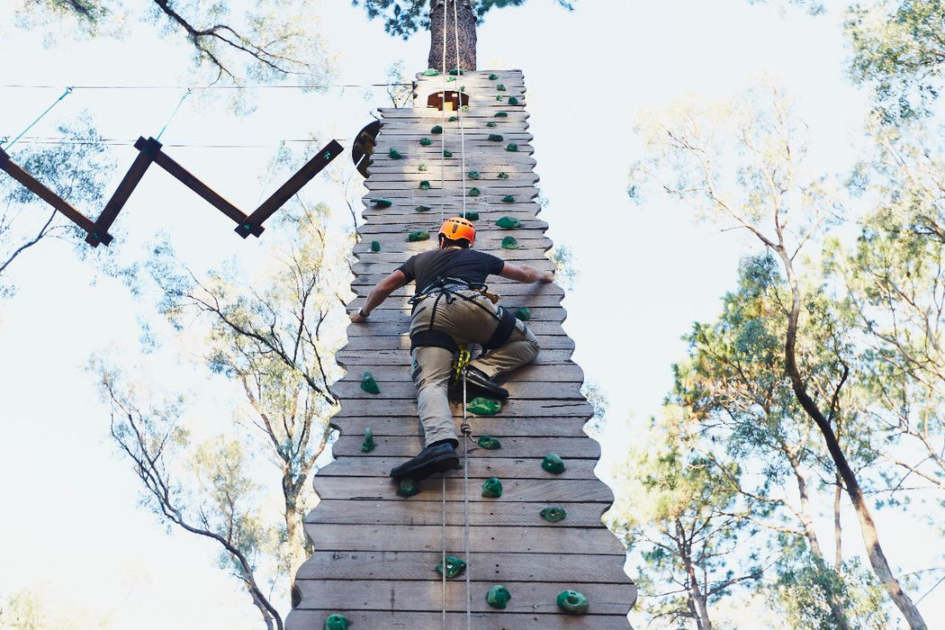 Forest Adventures Park Entry - We Wander