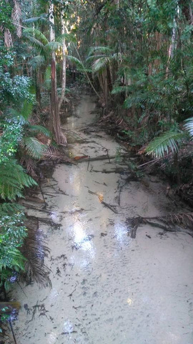 Fraser Island Exclusive 4Wd Day Tour - We Wander