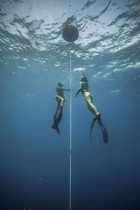 Freediving Course - Mooloolaba - 2 Day - We Wander