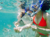 Morning Dolphin Kayaking & Snorkeling Tour