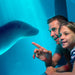 General Admission To Sea Life Sunshine Coast - Peak - We Wander