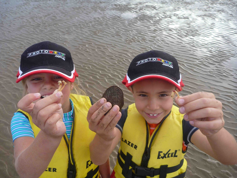 Glass Bottom Kayak Tour - Cullendulla Sanctuary - We Wander