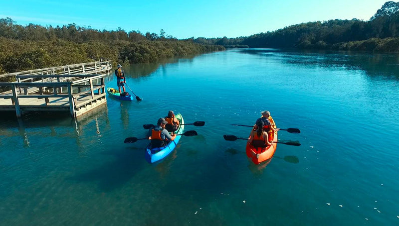 Glass Bottom Kayak Tour - Cullendulla Sanctuary - We Wander