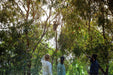 Gold Coast Eco Safari - Wild Animal Encounters And Electric Boat Cruise - We Wander