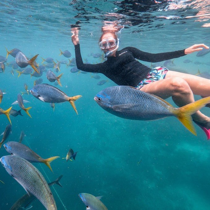 Great Barrier Reef Full Day Adventure - We Wander