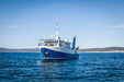 Great White Expedition - 3 Days & 4 Nights - We Wander