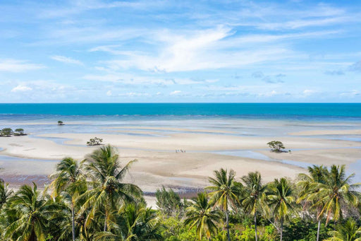 Half Day 4Wd Daintree Tour - We Wander