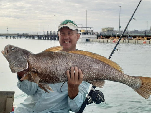 Half Day Barra Fishing - We Wander