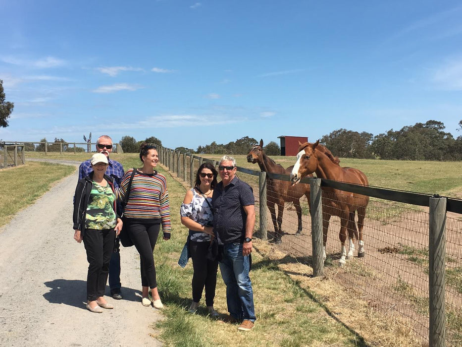 Half Day Racehorse Tour - We Wander