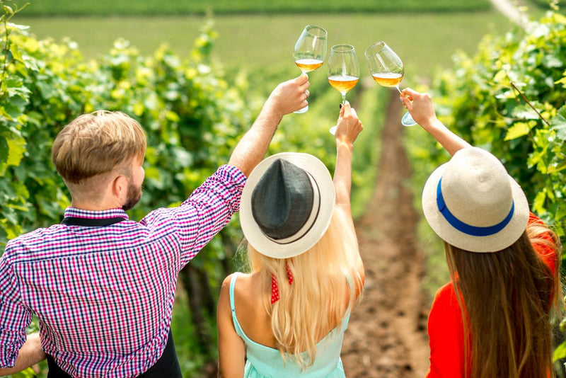 Half Day Winery Tour - Local Pickup From Mt Tamborine - We Wander