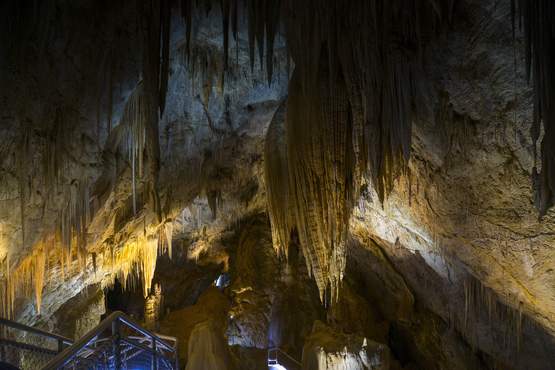 Hastings Caves, Thermal Springs And Tahune Airwalk - We Wander