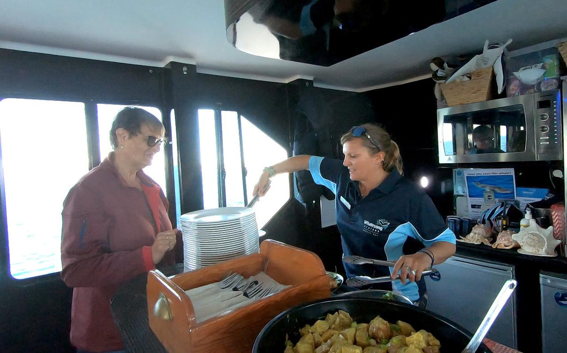 Hervey Bay Whale Search And Dolphin Watch - We Wander