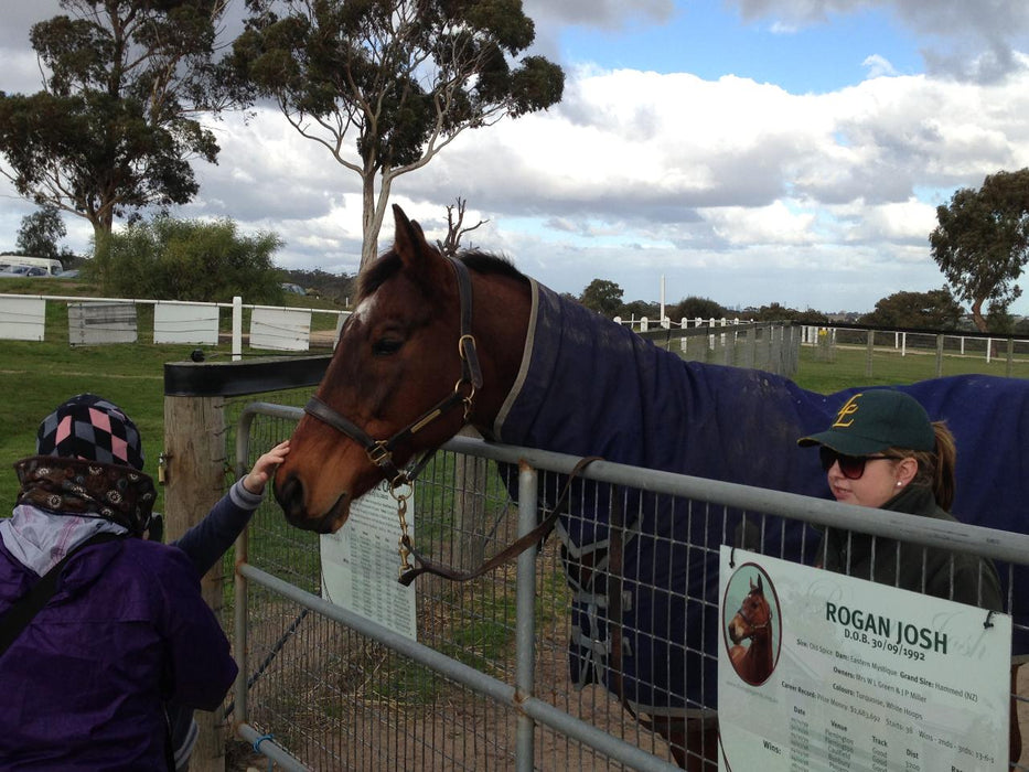 Horses, Wine & Beer Tour - We Wander