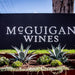 Hunter Through The Ages At Mcguigan Cellar Door - We Wander