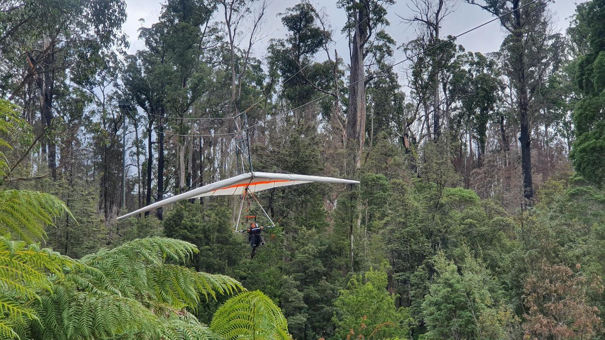 Huon Valley Day Tour - We Wander