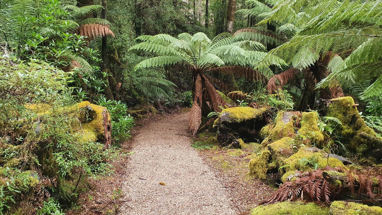 Huon Valley Day Tour - We Wander