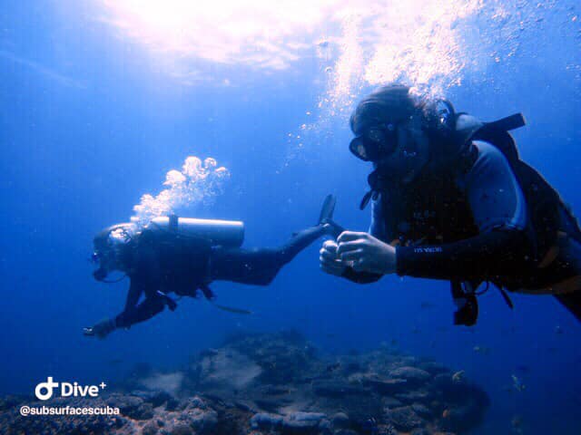 Introductory Dive Sunshine Coast Reefs - Double Dive - We Wander