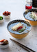 Japanese Cooking Master Class - We Wander
