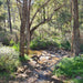 Jarrahdale Hike, Wine & Dine Experience - We Wander