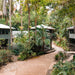 Jungle Stopver At Ferntree Rainforest Lodge - We Wander