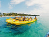 Kayak The Dolphin Sanctuary - We Wander