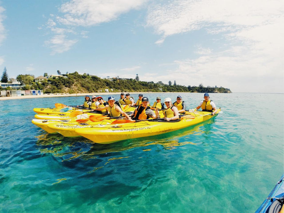 Kayak The Dolphin Sanctuary - We Wander