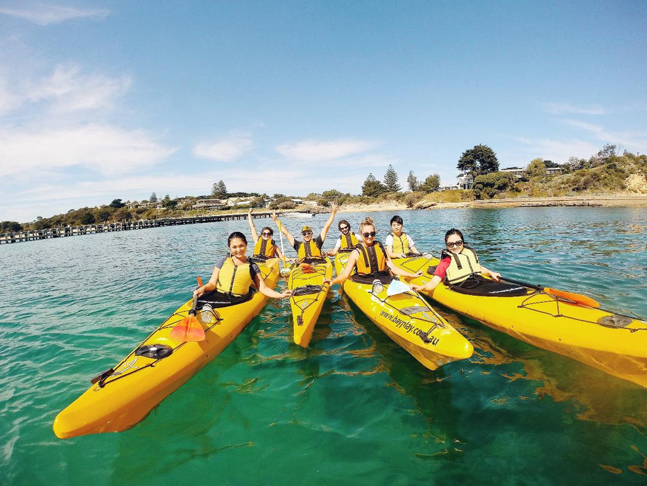 Kayak The Dolphin Sanctuary - We Wander