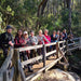 Kitty's Gorge Waterfall Hike - We Wander