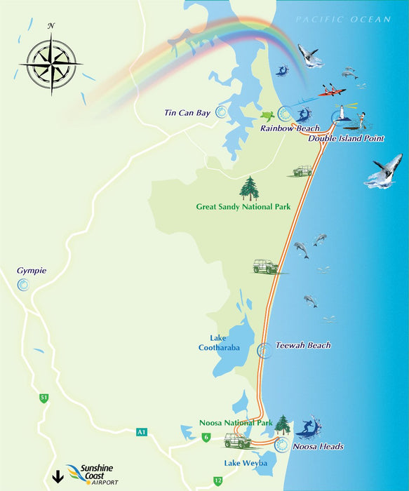 Learn To Surf Australia's Longest Wave + Great Beach Drive Adventure - Noosa Day Trip - We Wander