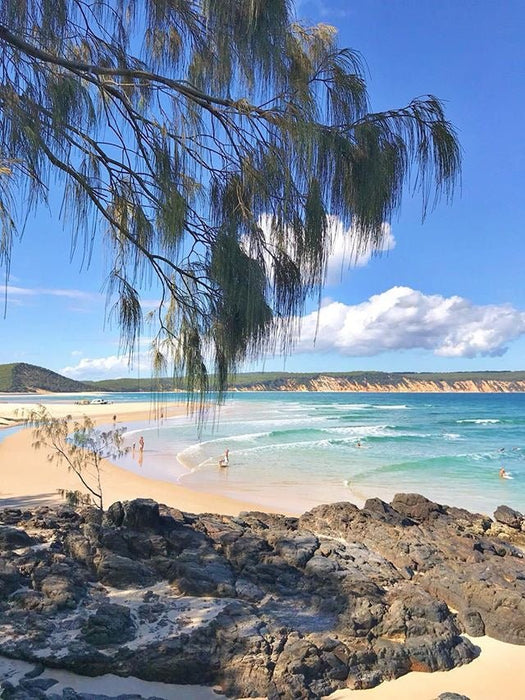 Learn To Surf Australia's Longest Wave + Great Beach Drive Adventure - Noosa Day Trip - We Wander