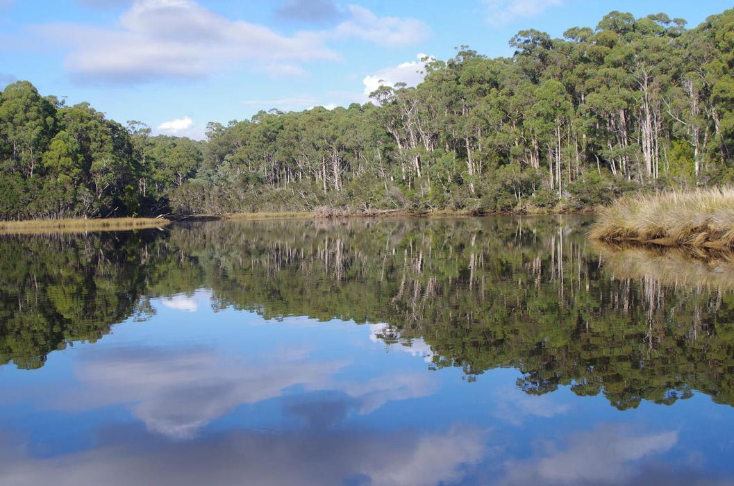 Leven River & History Cruise - We Wander