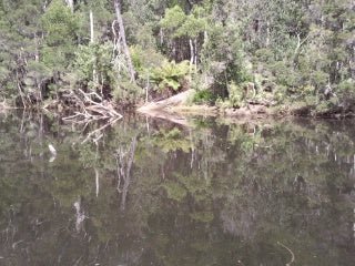 Leven River & History Cruise - We Wander